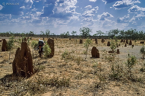 070410-0203.jpg