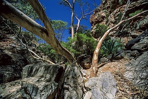 070709-0256.jpg