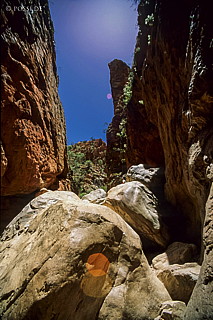 070709-0257.jpg