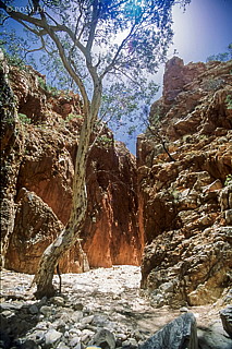 070709-0259.jpg