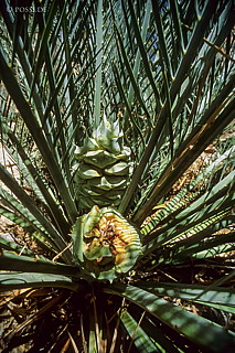 070709-0260.jpg