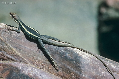 070709-0261.jpg