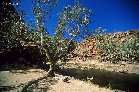 070709-0263.jpg