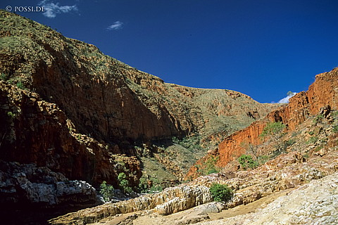 070709-0264.jpg