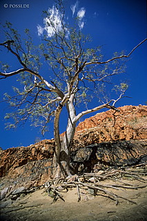 070709-0265.jpg