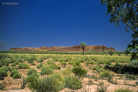 070709-0274.jpg