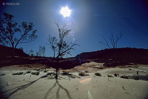 070709-0277.jpg