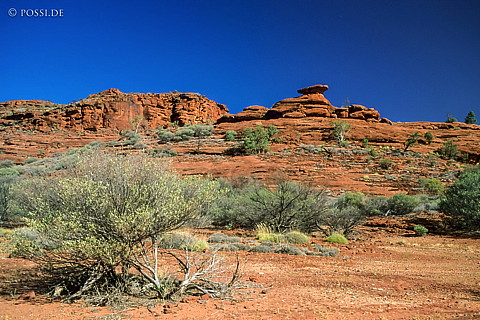 070709-0279.jpg