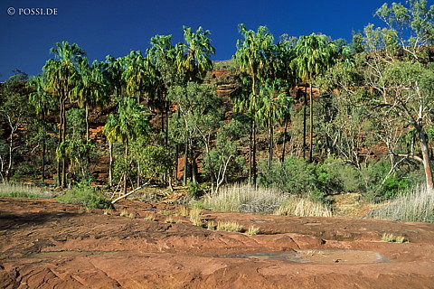 070709-0281.jpg