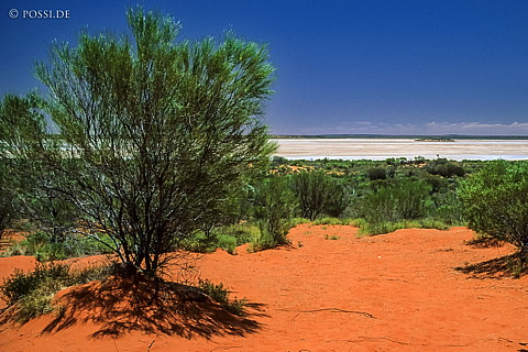 070709-0285.jpg
