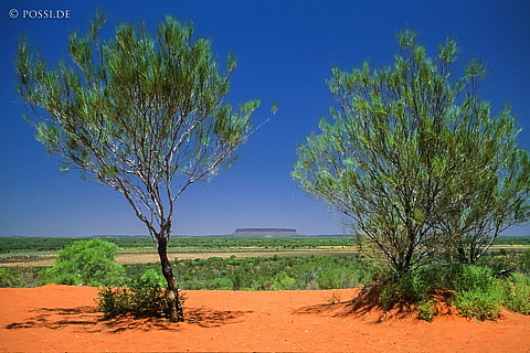 070709-0286.jpg