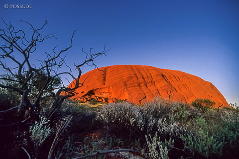 070710-0306.jpg