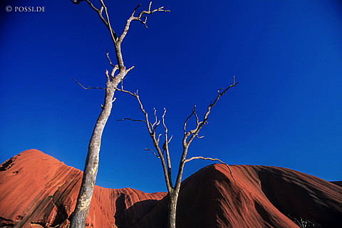 070710-0315.jpg