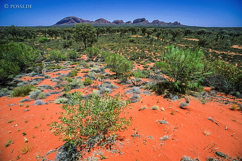 070710-0334.jpg