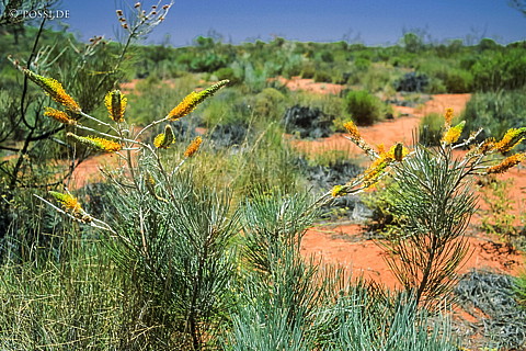 070710-0336.jpg