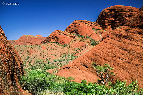 070710-0344.jpg