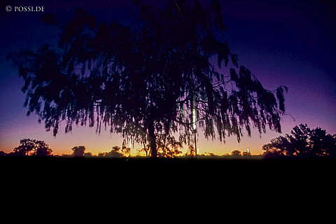070710-0346.jpg