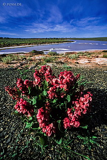 070710-0362.jpg
