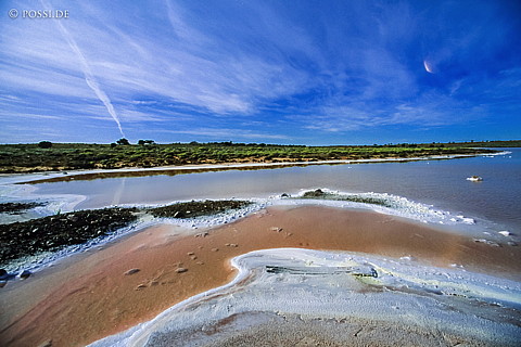 070710-0363.jpg