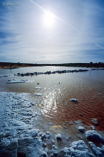 070710-0364.jpg