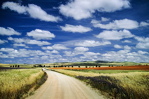 070710-0371.jpg
