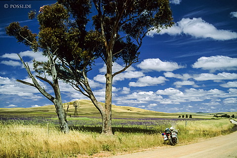 070710-0372.jpg