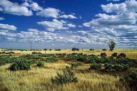 070710-0374.jpg