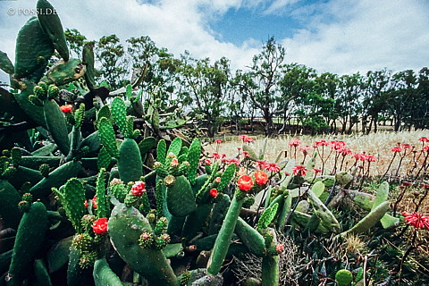 070710-0385.jpg