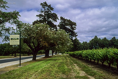 070710-0386.jpg