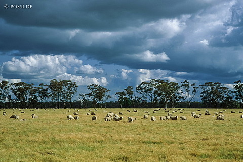 070710-0388.jpg