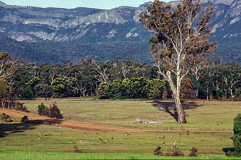 070710-0390.jpg