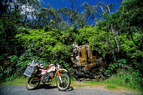 070710-0397.jpg