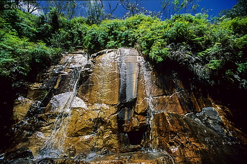 070710-0398.jpg