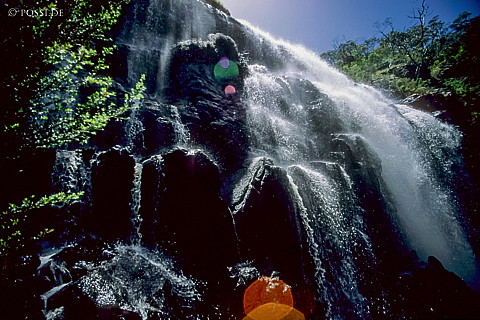 070710-0399.jpg