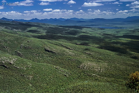 070710-0400.jpg