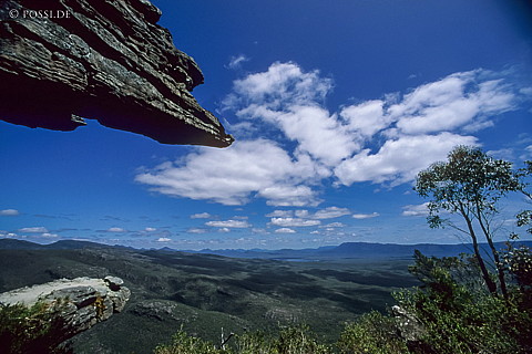 070711-0401.jpg