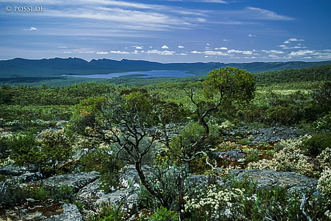070711-0403.jpg