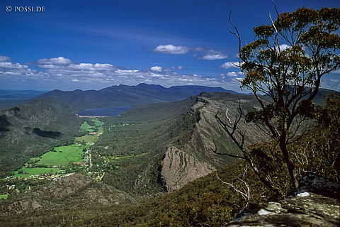 070711-0405.jpg
