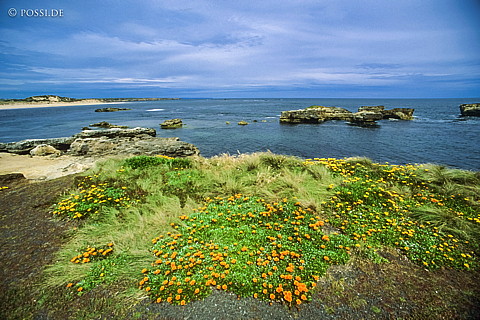 070711-0413.jpg