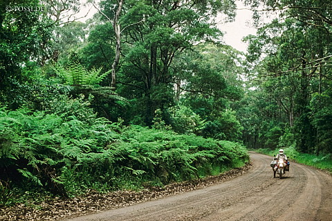 070711-0423.jpg
