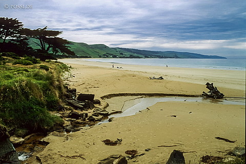 070711-0424.jpg