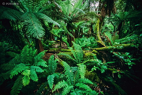 070711-0433.jpg