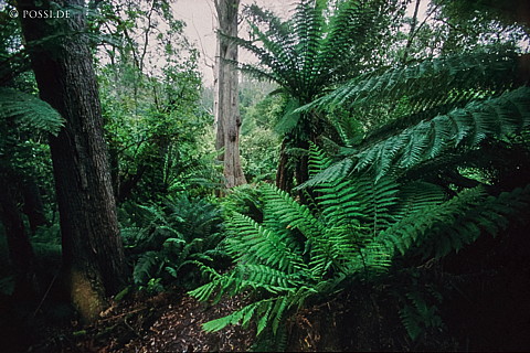 070711-0434.jpg