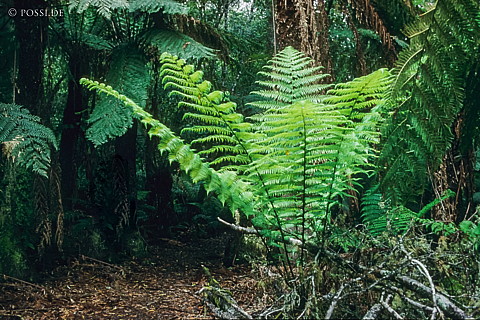 070711-0435.jpg
