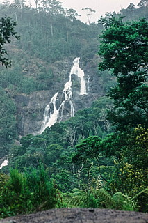 070711-0443.jpg