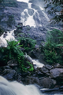 070711-0445.jpg