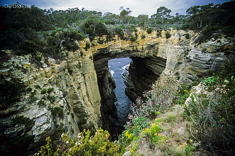 070711-0458.jpg