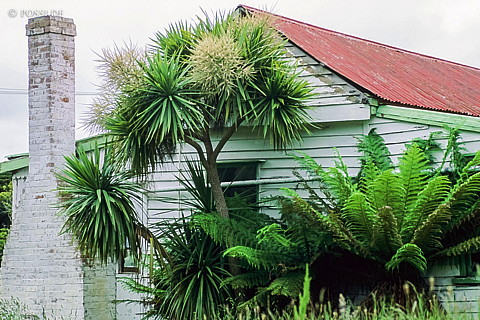 070711-0459.jpg