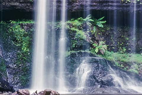 070711-0465.jpg