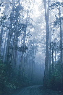 070711-0467.jpg